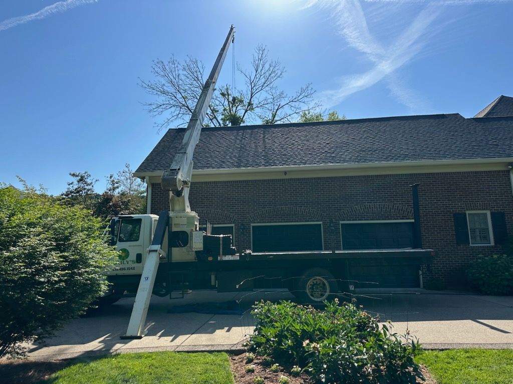 Tree cutting service Nasville, TN