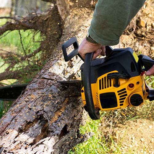 Tree Cutting — Man Cutting Tree in Nashville, TN