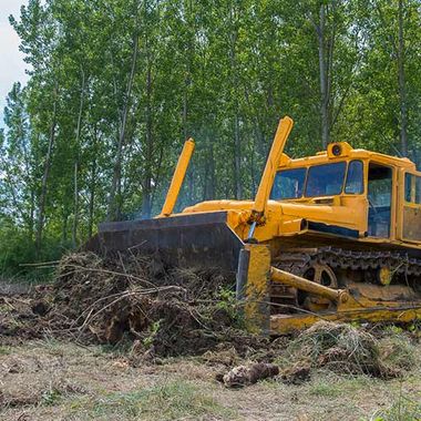 Land Clearing — Bulldozer Eradicating Forest in Nashville, TN