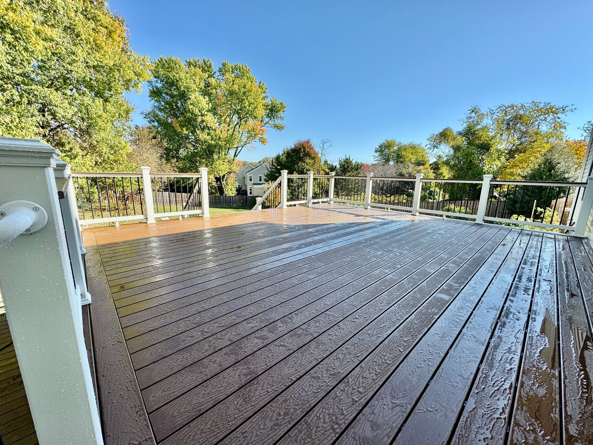 Wet, brown wooden deck with white railing, surrounded by trees under a blue sky.