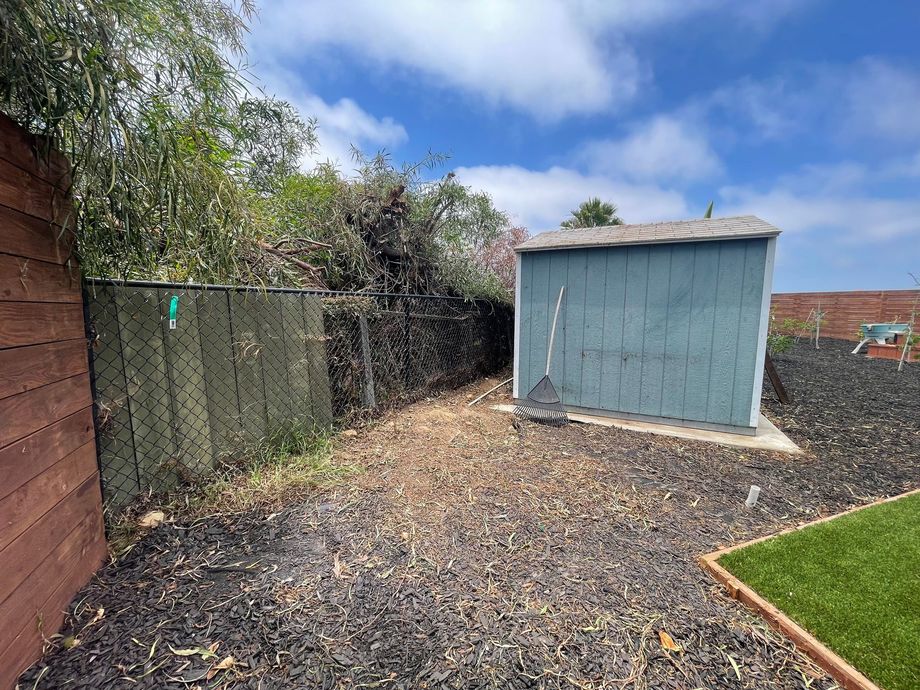 A blue wooden shed stands in a backyard corner on dark mulch, next to a chain-link fence and wooden siding under a blue sky.