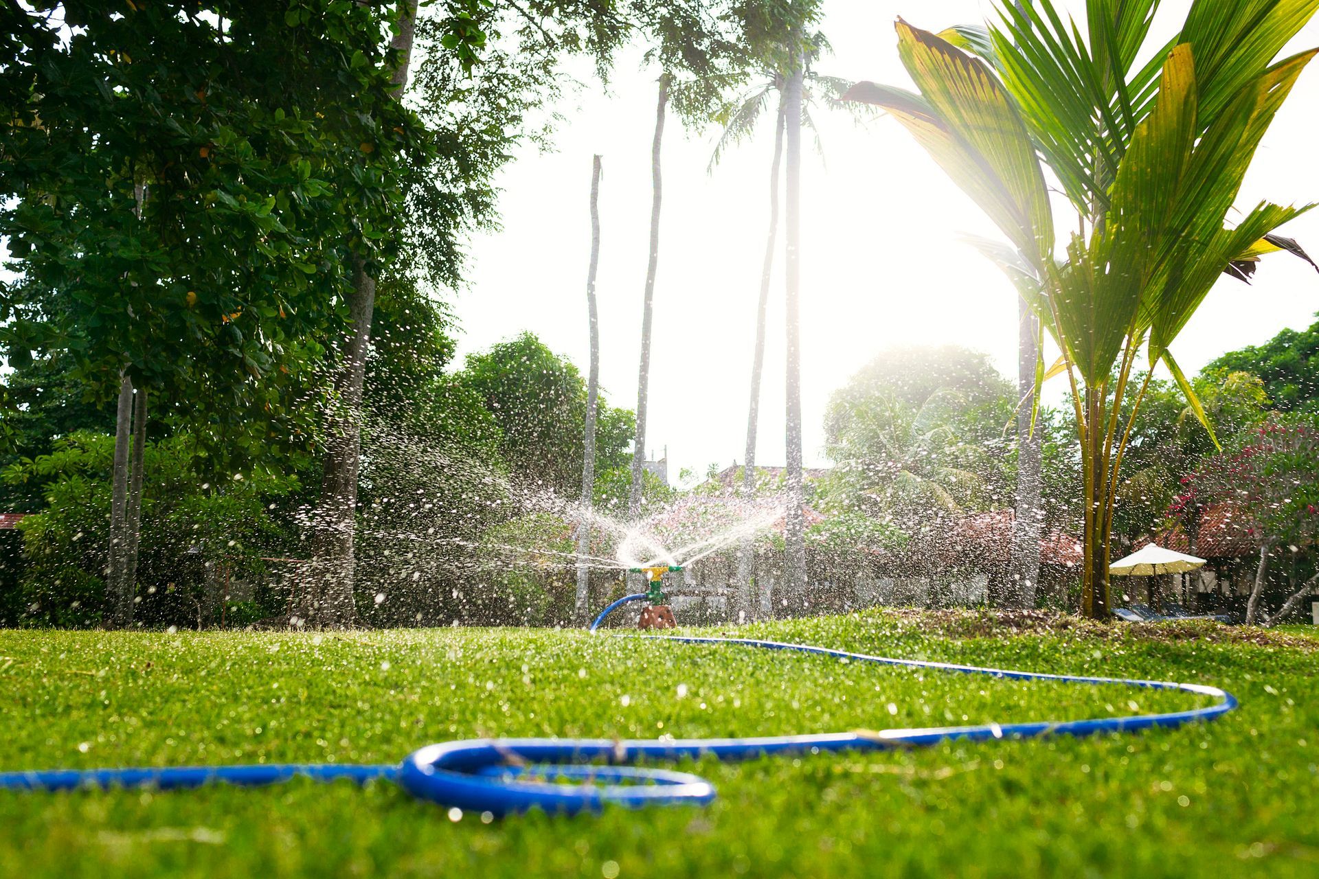 Picture Of Green Grass - San Antonio, TX - Flores Irrigation and Landscaping