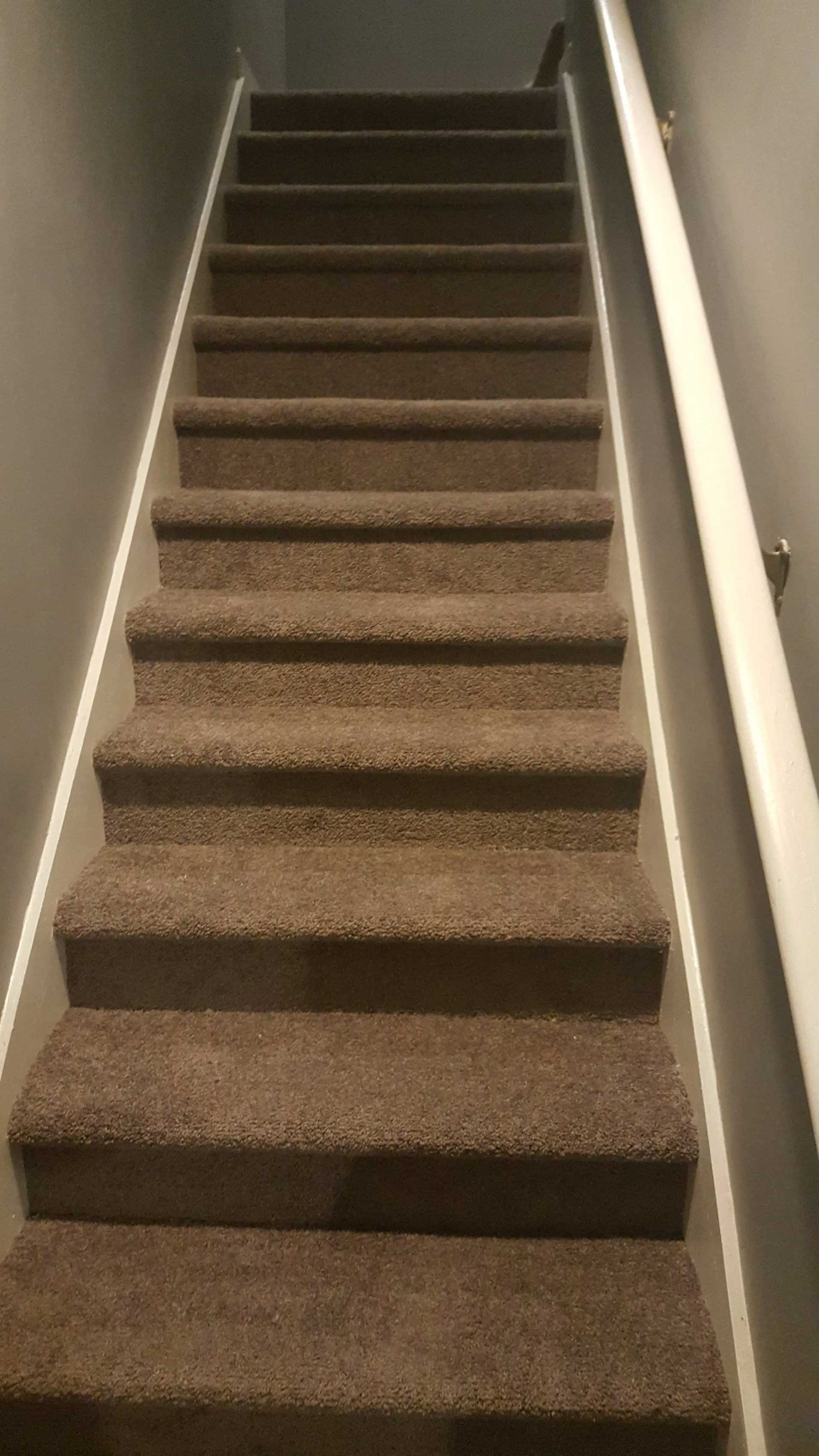 After Steps Cleaning— McDonough, GA — Quality Queen Carpet Cleaning & Flooring Center