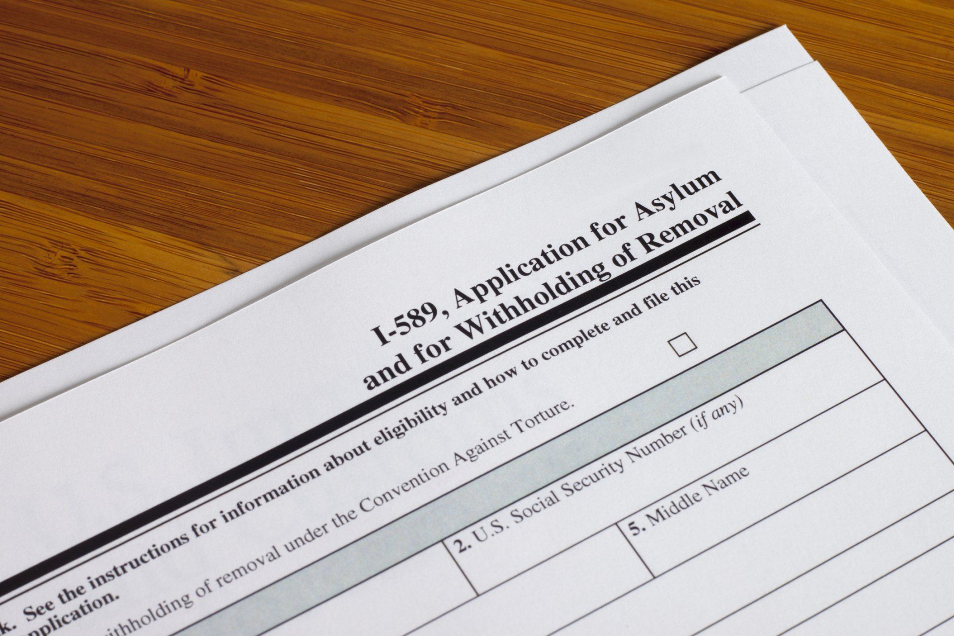 Application for Asylum — Bellaire, TX — Garza & Associates