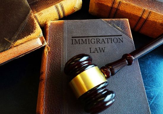 Immigration Law Book — Bellaire, TX — Garza & Associates