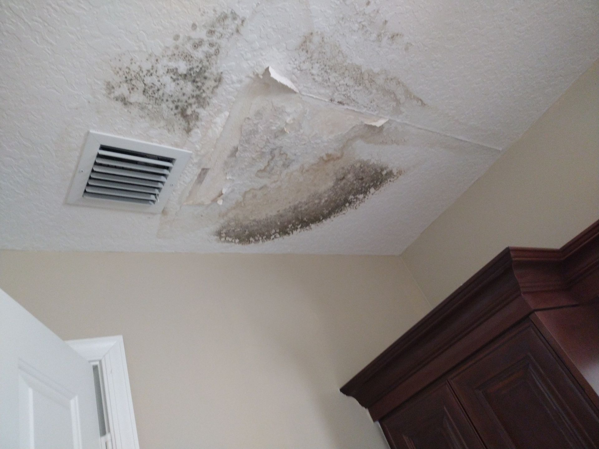 A room with a ceiling that has mold growing on it