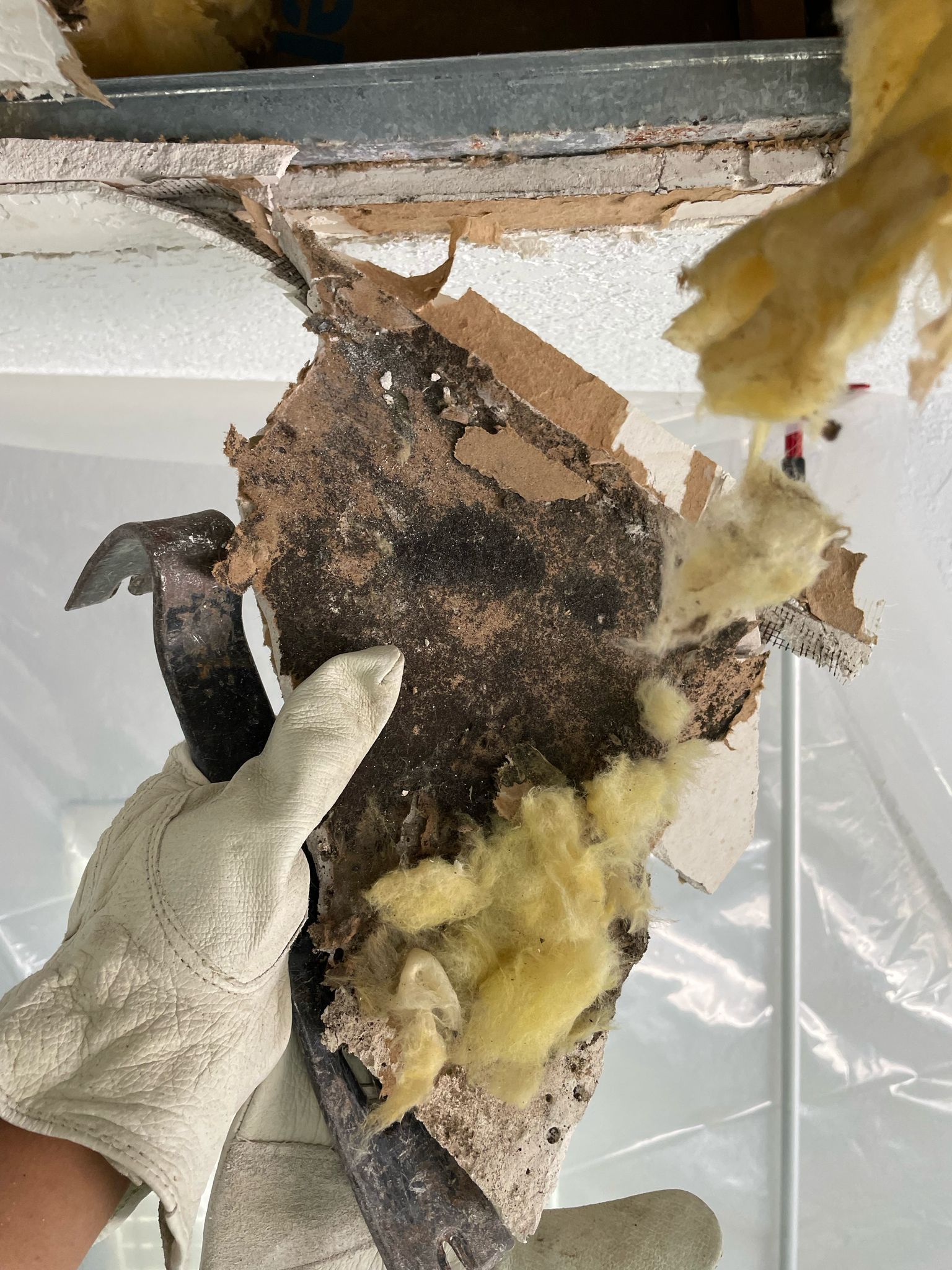 A person wearing gloves is holding a piece of wood.