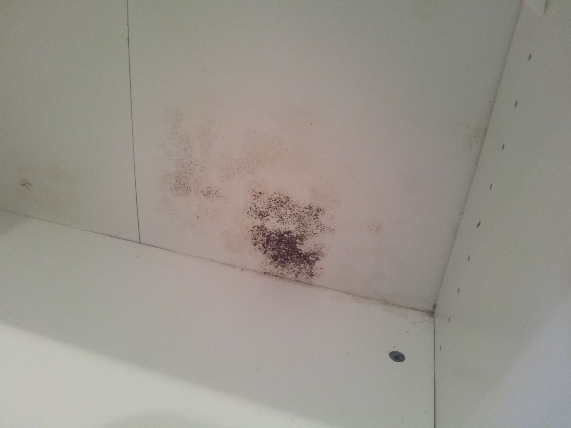 A corner of a white cabinet with mould on the ceiling.