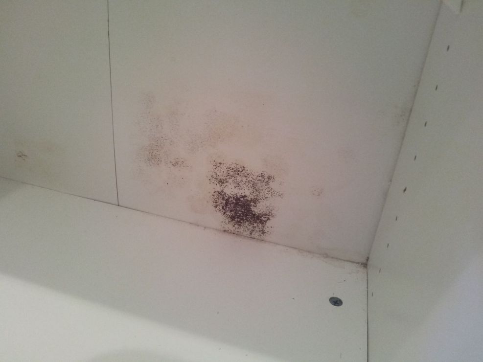 A corner of a white cabinet with mould on the ceiling.
