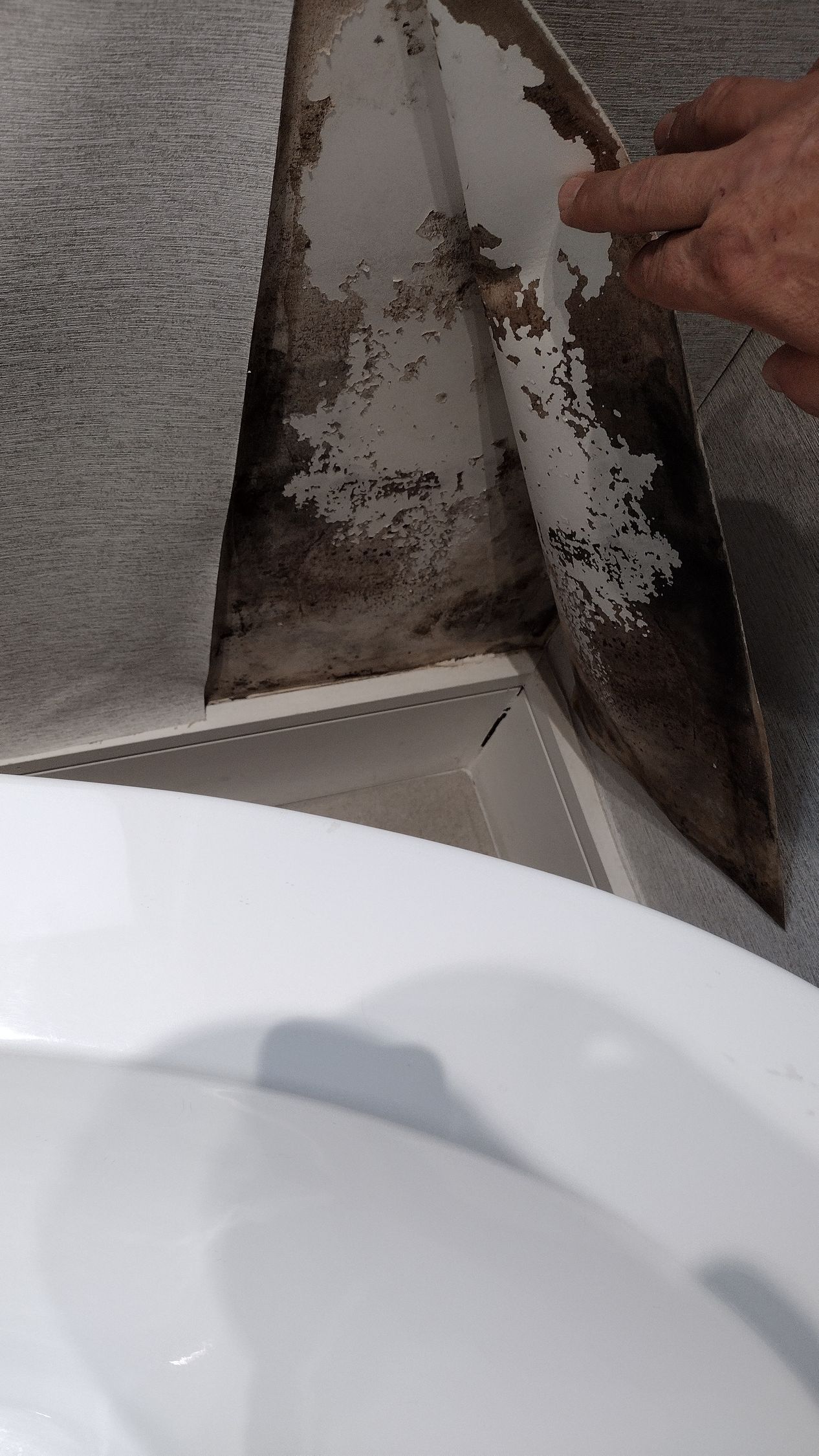 A person is holding a trowel over a toilet.