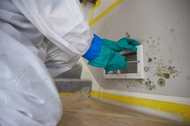 A person in a protective suit is cleaning a moldy wall.