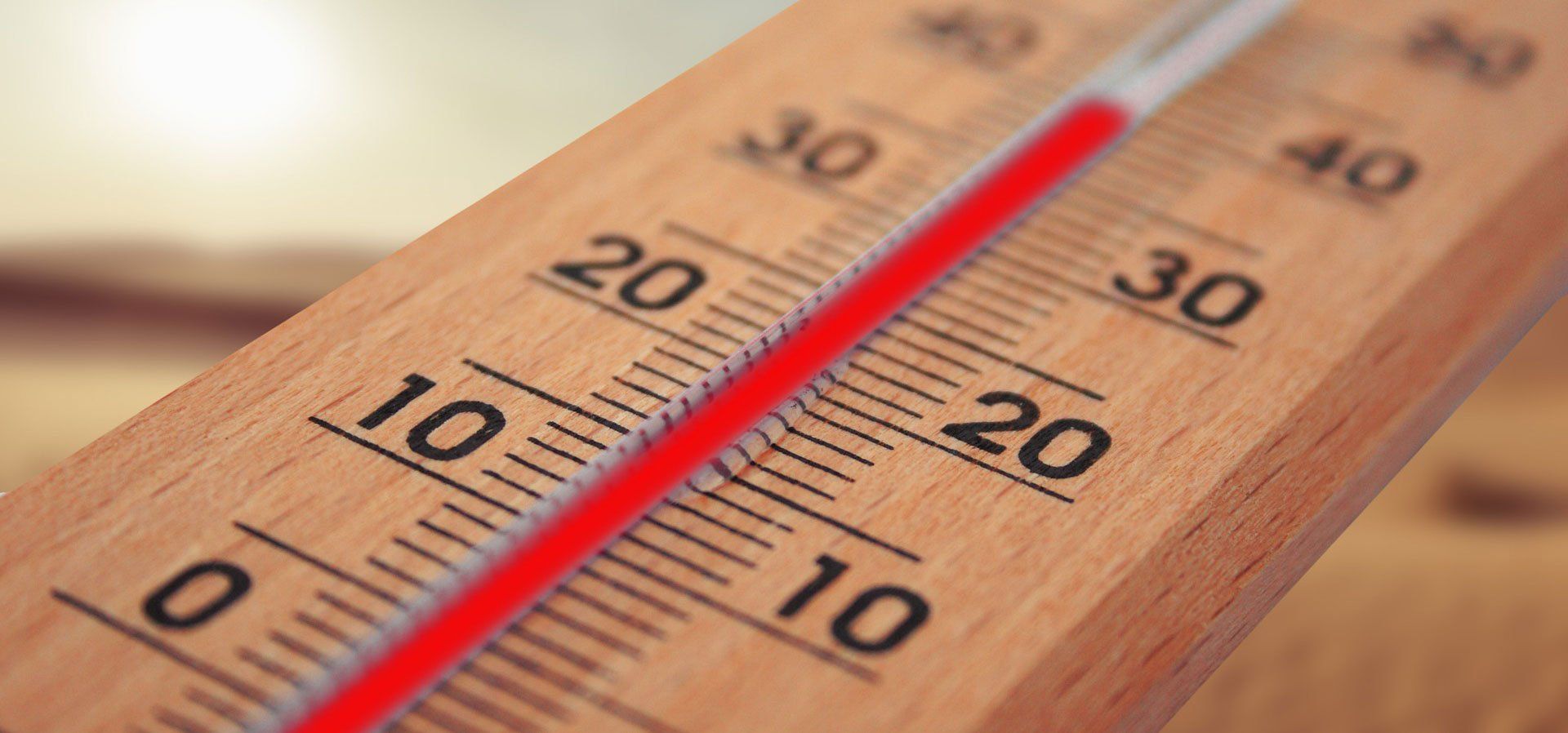 Taking the Temperature of Company Culture