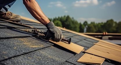 Professional Roof Repair