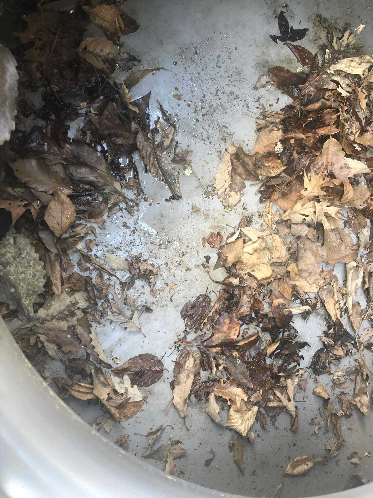 Dirty container — Asheville, NC — Quality Air