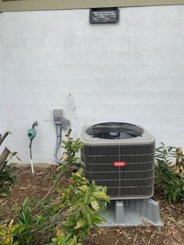 Bryant machine beside plants — Asheville, NC — Quality Air