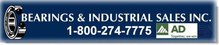 Bearings & Industrial Sales Inc.