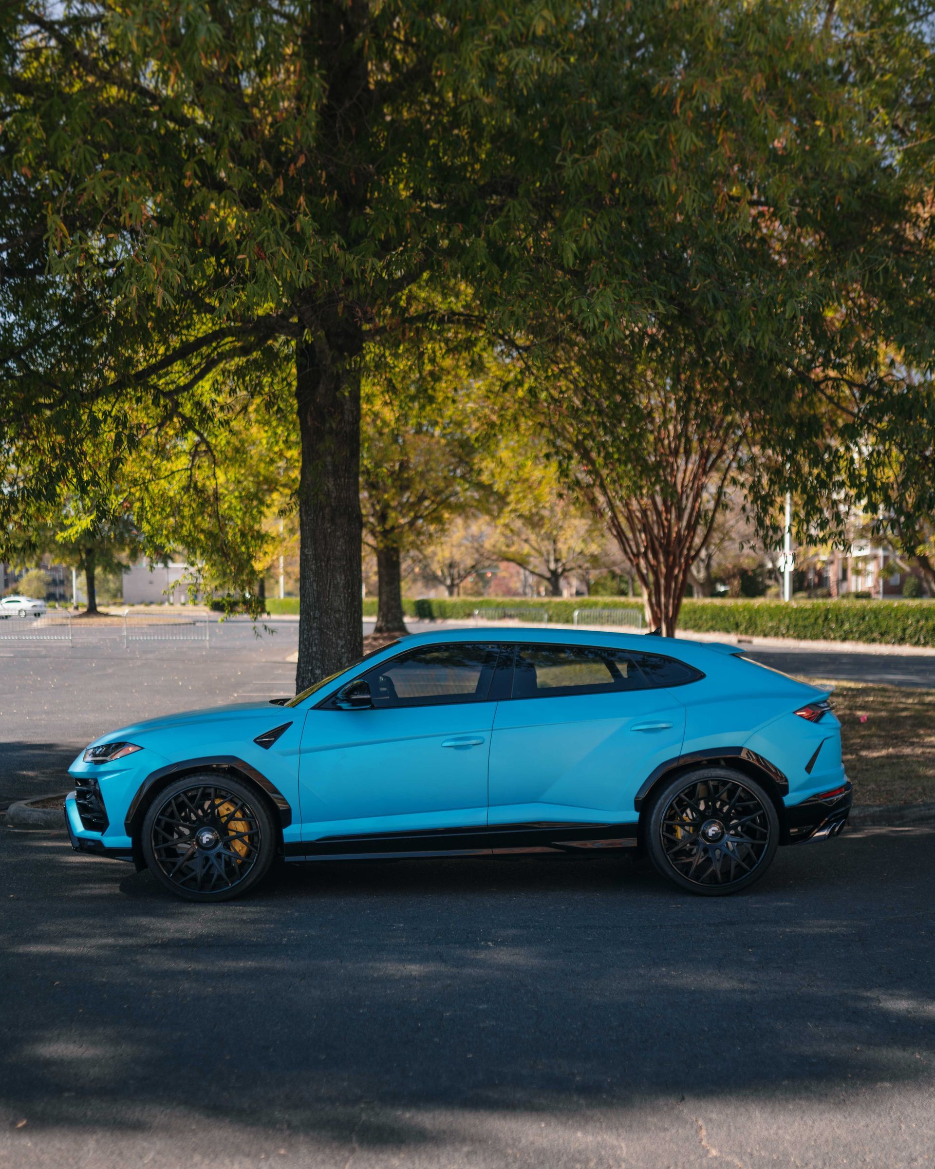 A blue car is parked under a tree in a parking lot.