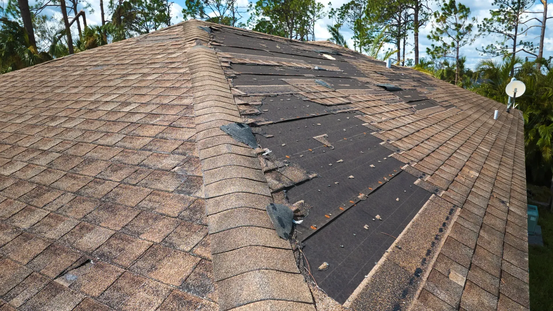 Roof Replacement
