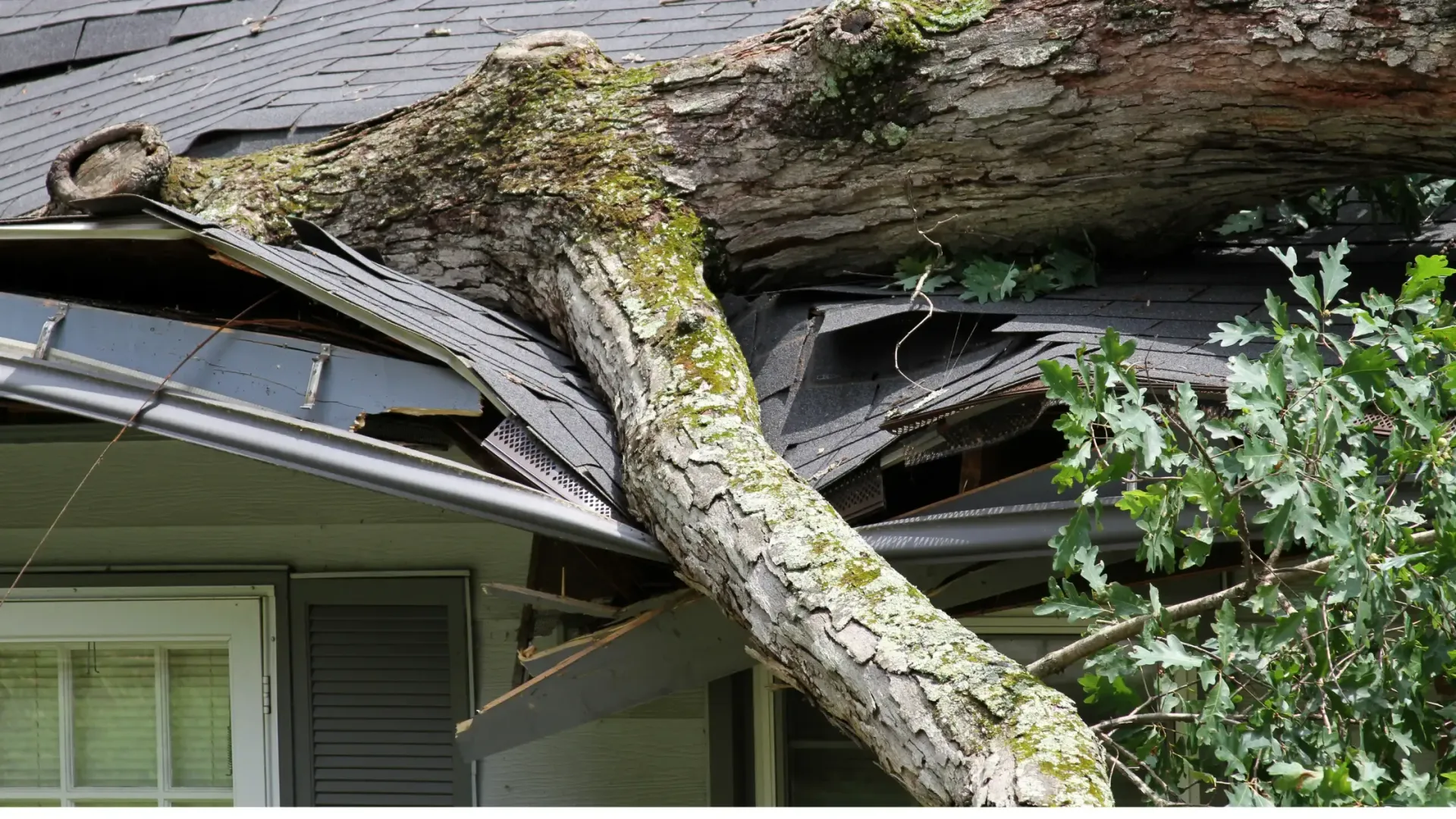 Storm Damage