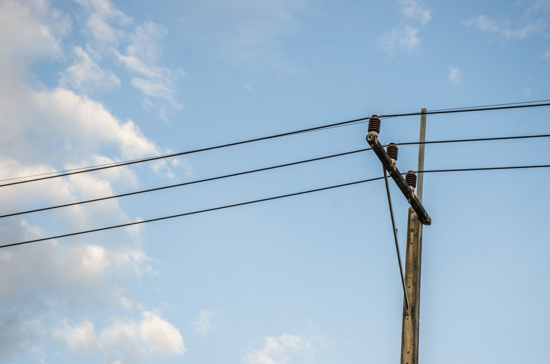 Attrezzature per vigneti e frutteti