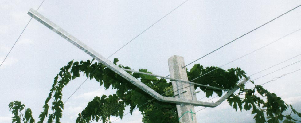 strutture di sostegno