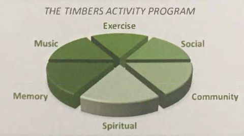 activity chart