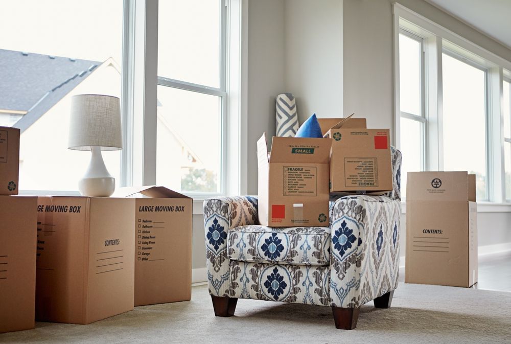 Moving boxes around a patterned chair in a sunlit room with tall windows