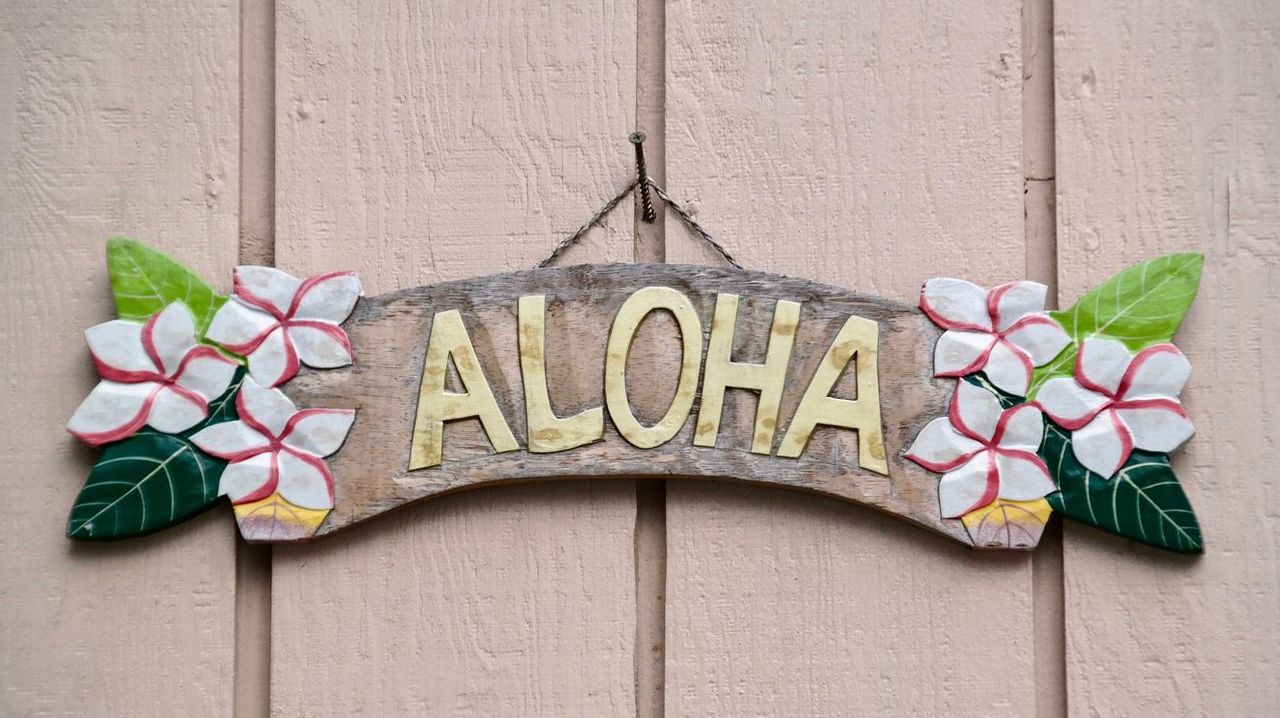 aloha sign