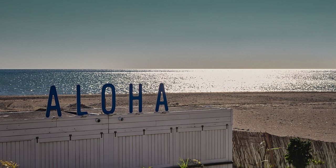 aloha sign