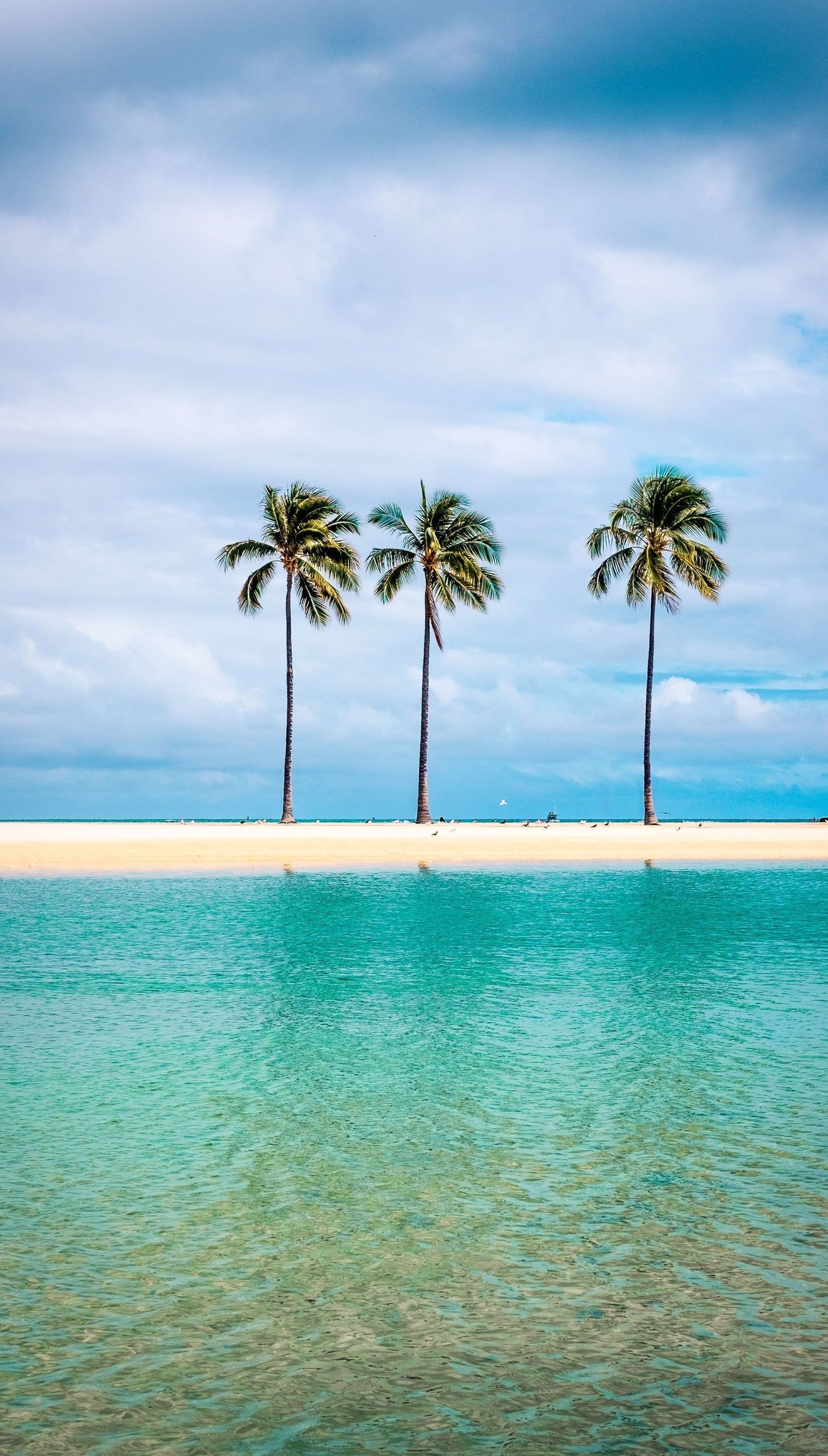 hawaiian beach