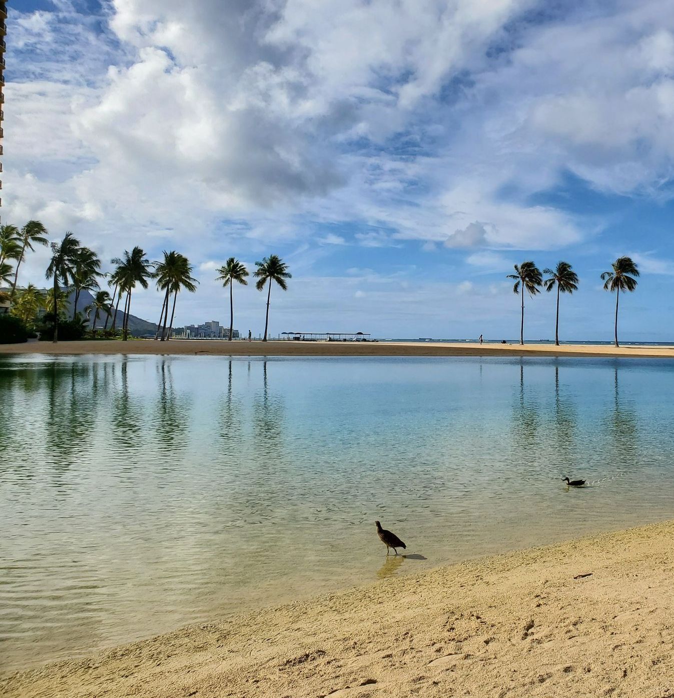 hawaiian beach