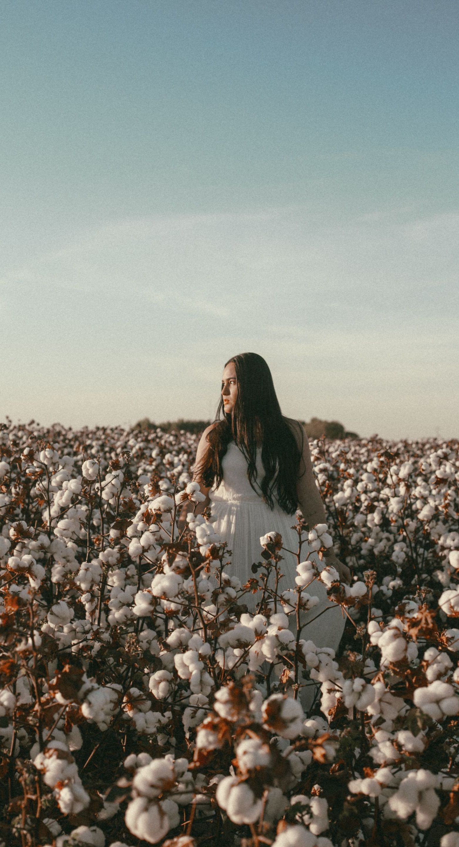 woman in cotton field