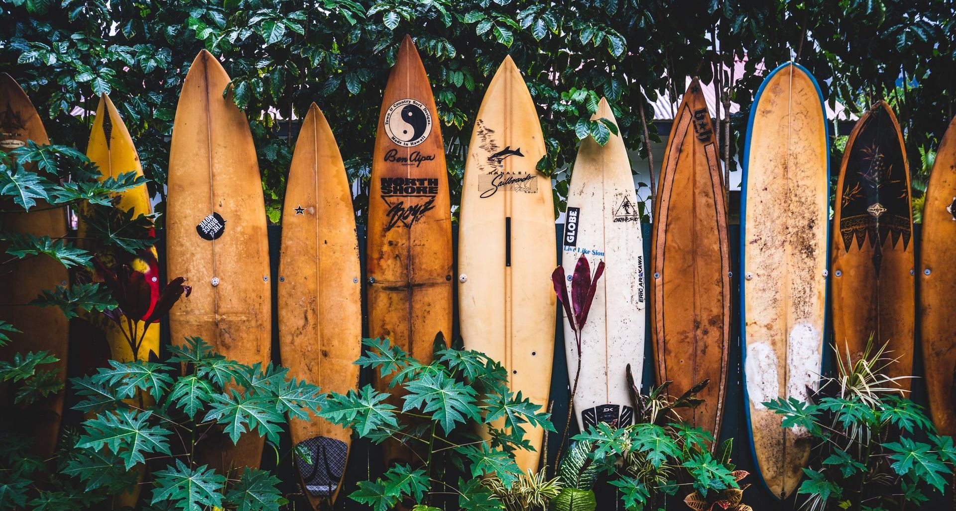 surfboards in hawaii