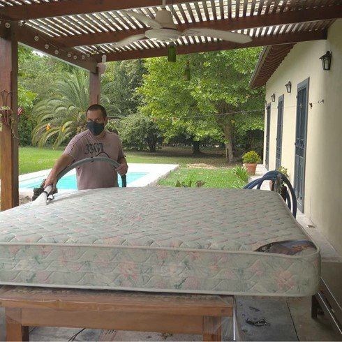 Limpieza de tapizados