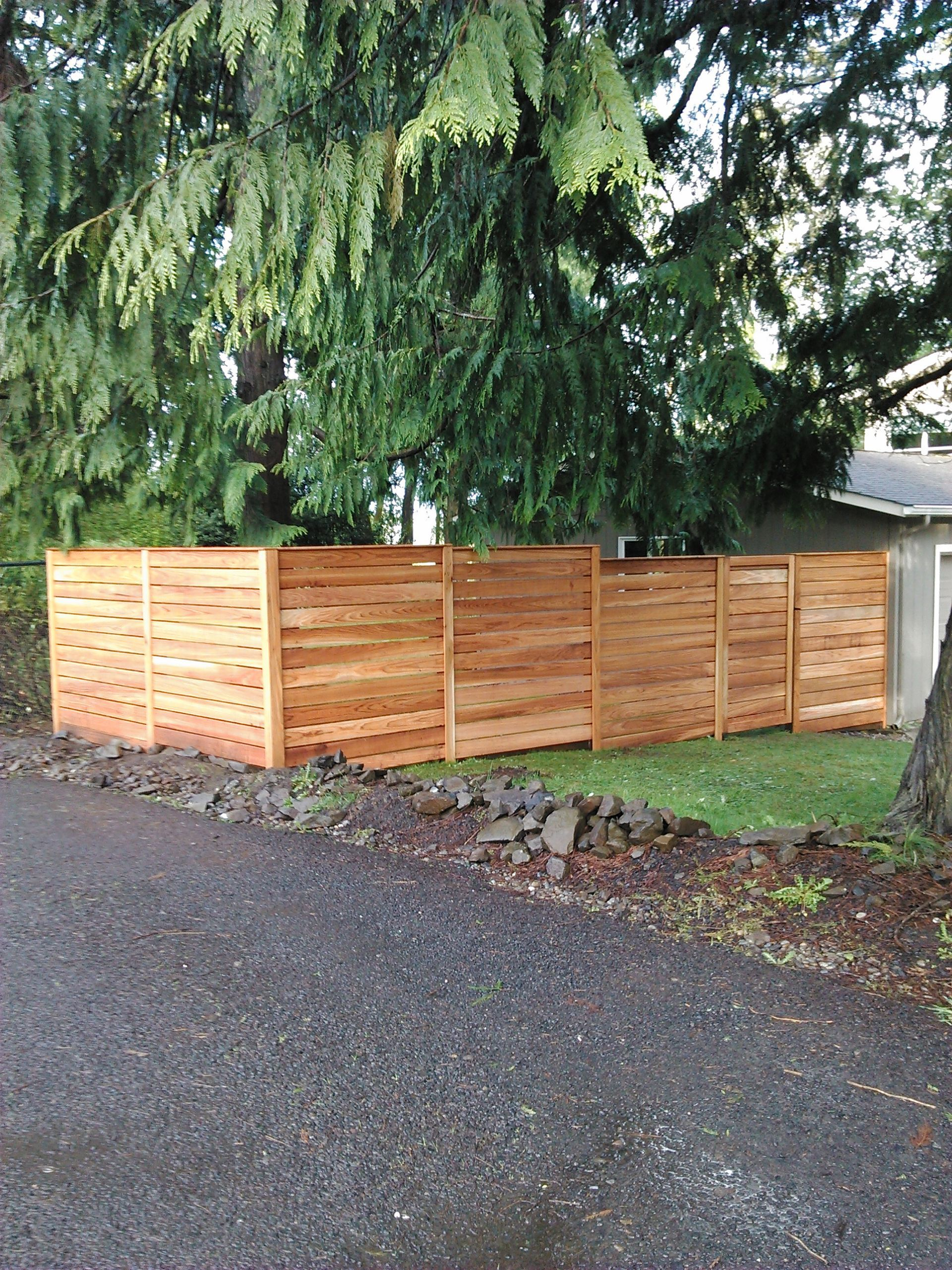 Wooden privacy fence along a gravel driveway under tall evergreen trees