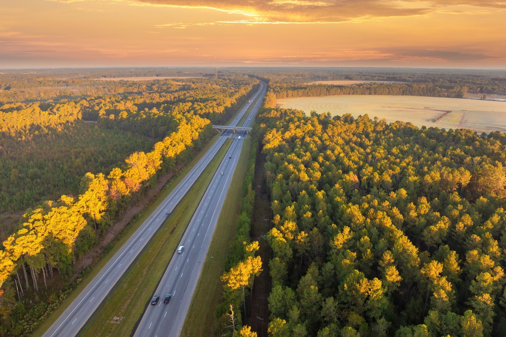 A fountain in a park with palm trees in the background