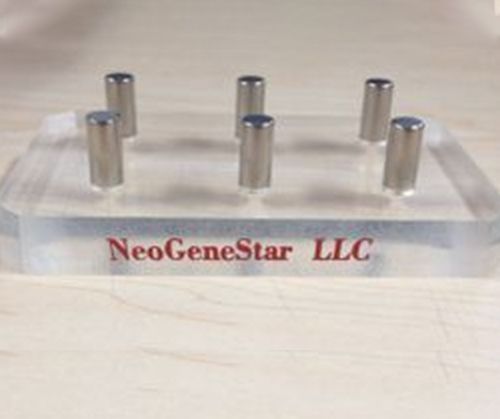 NeoGeneStar 24 Deep Well Magnet For Volume 600uL To 10mL