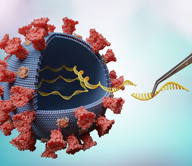 Modifying Genes In RNA Virus