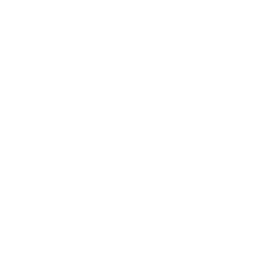 chargefox logo