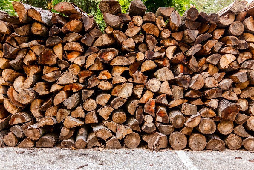 Firewood