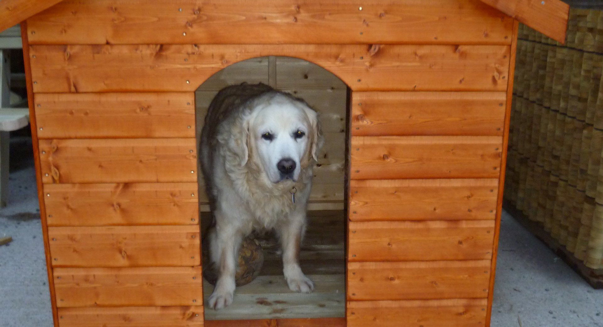 Carryduff Sawmills 24