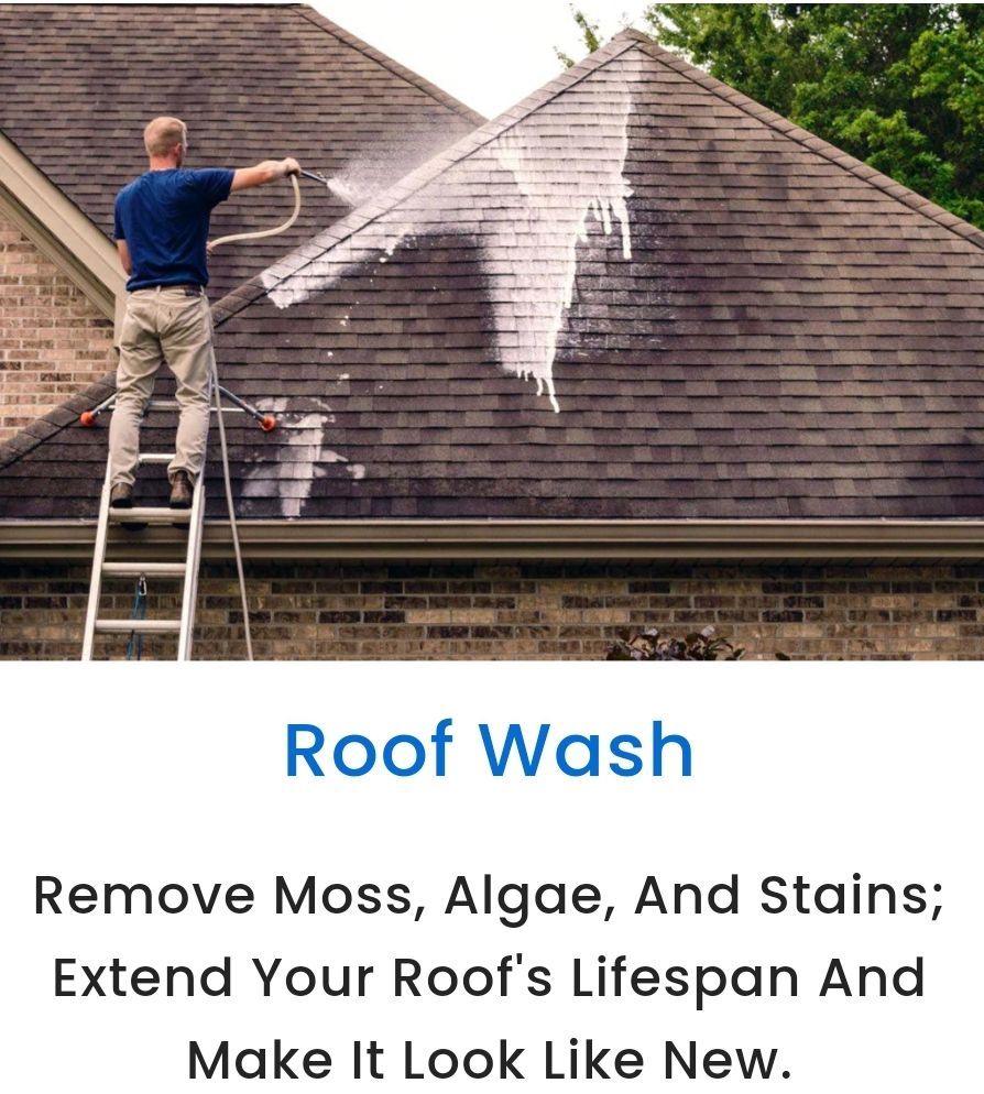 A person on a ladder sprays a cleaning solution on a roof to remove dark stains, moss, and algae.