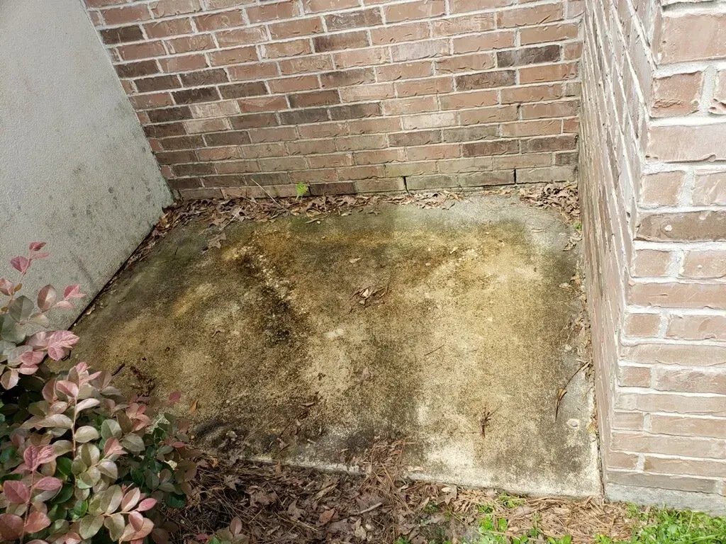 A rectangular concrete slab covered in dark stains and mold, situated in a corner between two brick exterior walls.