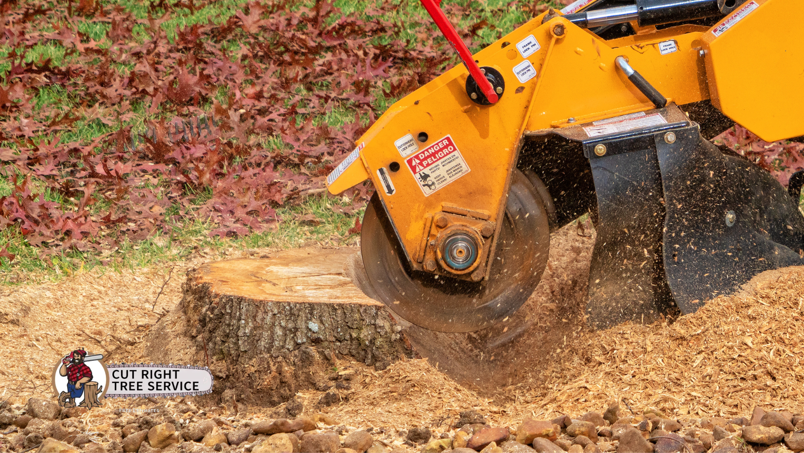 Stump grinder removing a tree stump, with wood chips flying.