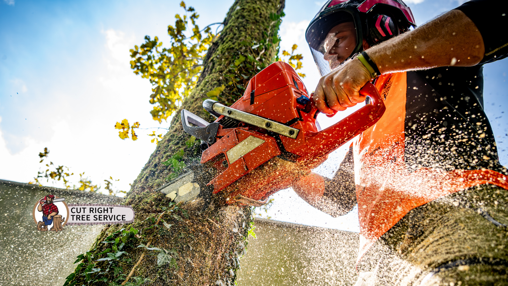 A person wearing safety gear uses a bright orange chainsaw to cut into a tree trunk, sending wood chips flying.
