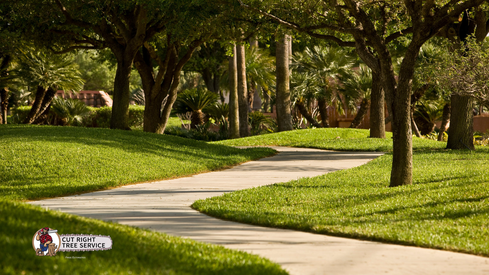 A path in a park surrounded by trees and grass