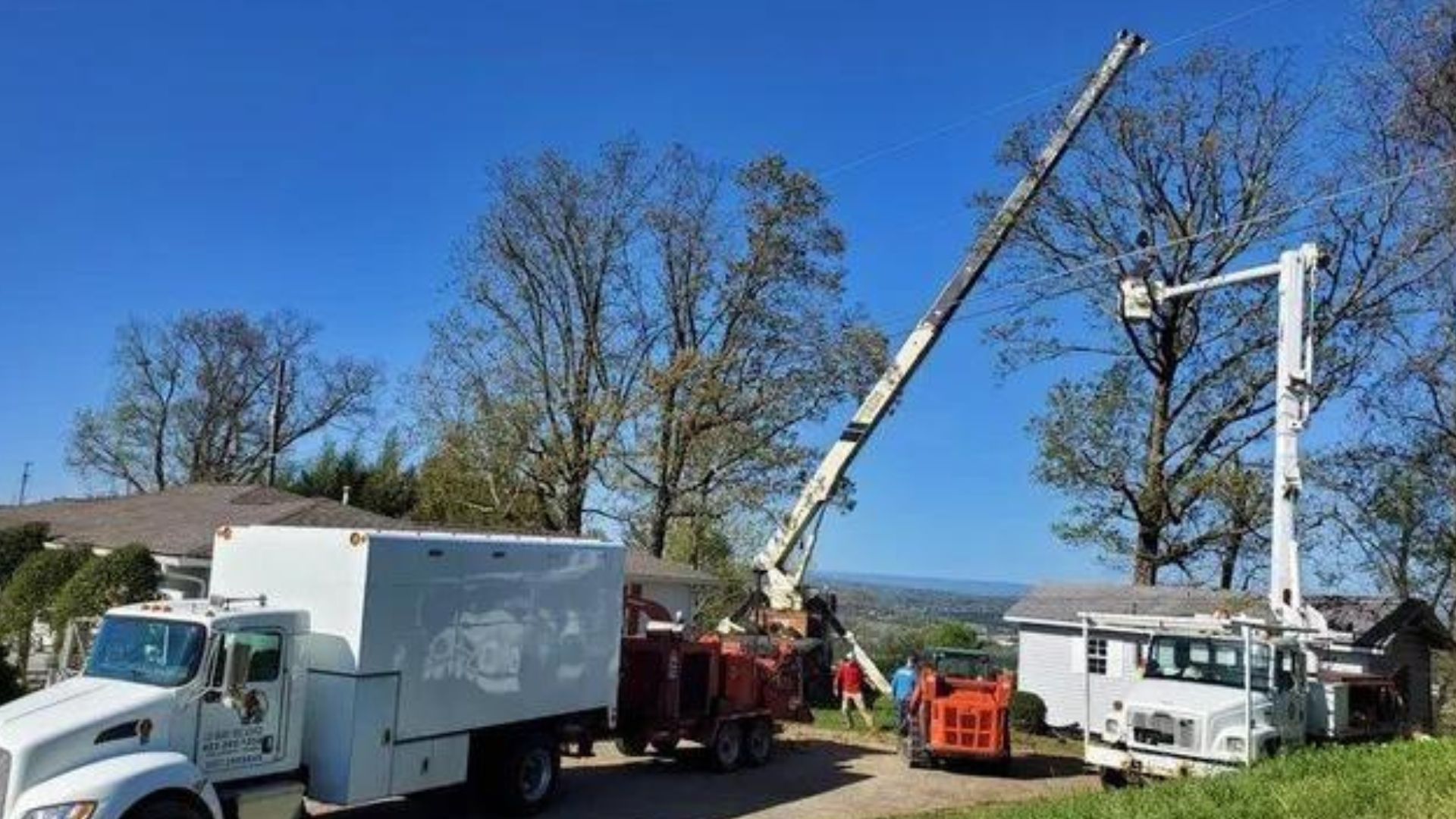 Expert Crane Services | Cut Right Tree Service