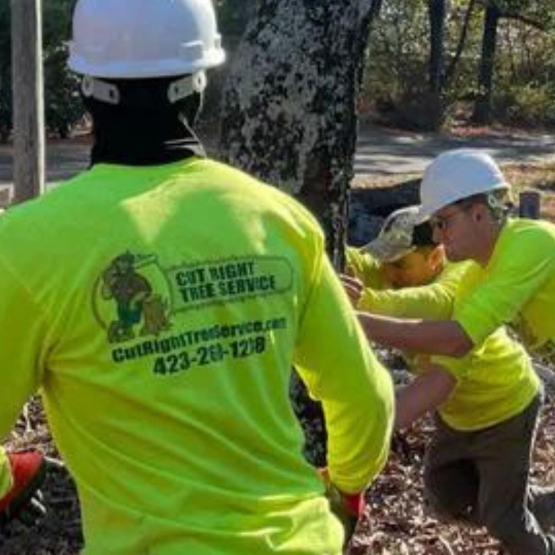 Cut Right Tree Service Team working together