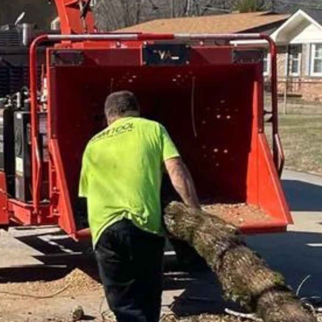 About Cut Right Tree Service | Chattanooga TN