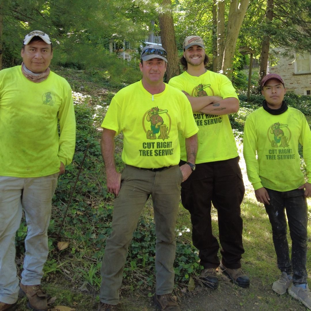 Cut Right Tree Service Team photo